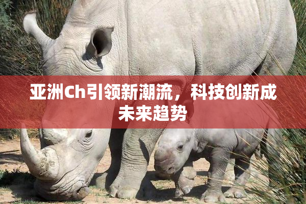 亚洲Ch引领新潮流，科技创新成未来趋势