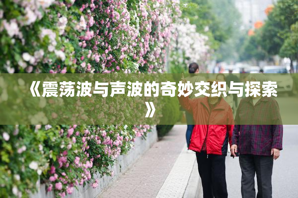 《震荡波与声波的奇妙交织与探索》