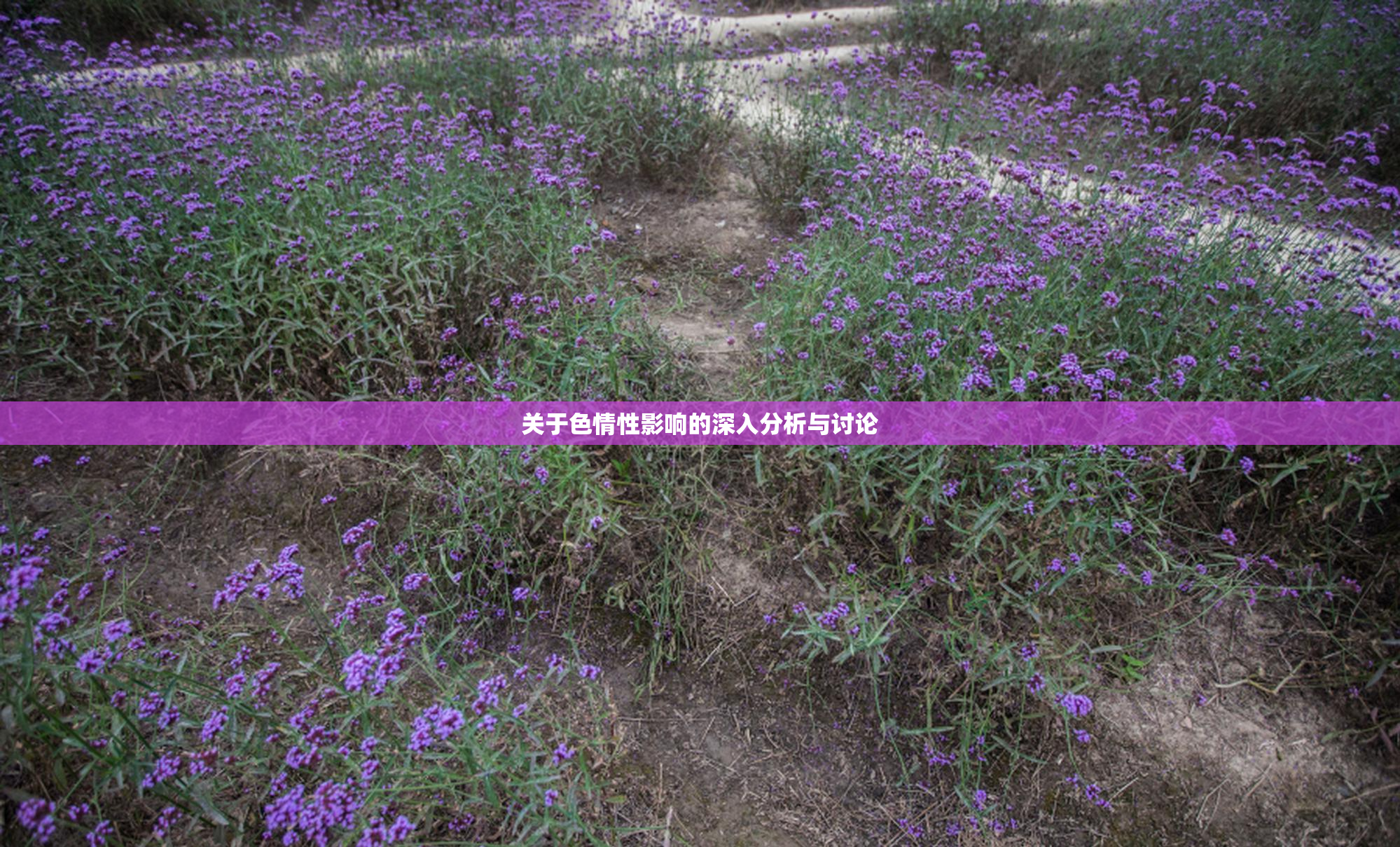 关于色情性影响的深入分析与讨论