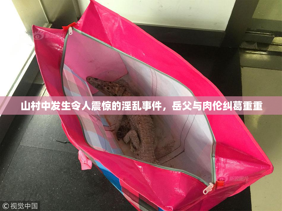 山村中发生令人震惊的淫乱事件，岳父与肉伦纠葛重重