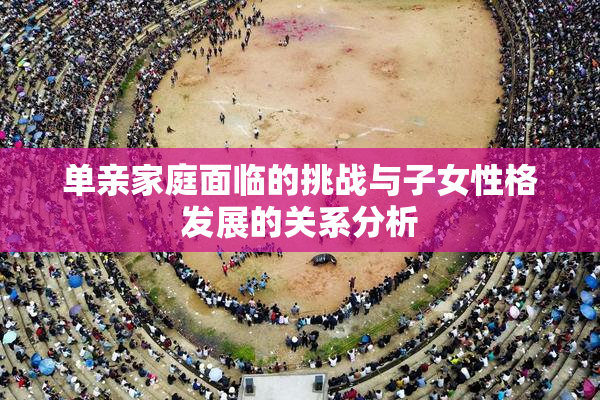 单亲家庭面临的挑战与子女性格发展的关系分析