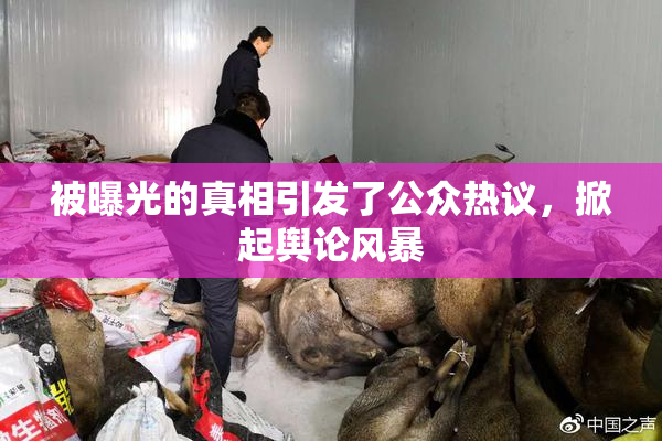 被曝光的真相引发了公众热议，掀起舆论风暴