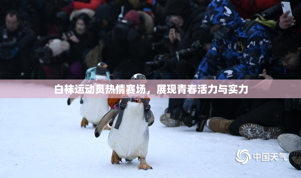 白袜运动员热情赛场，展现青春活力与实力