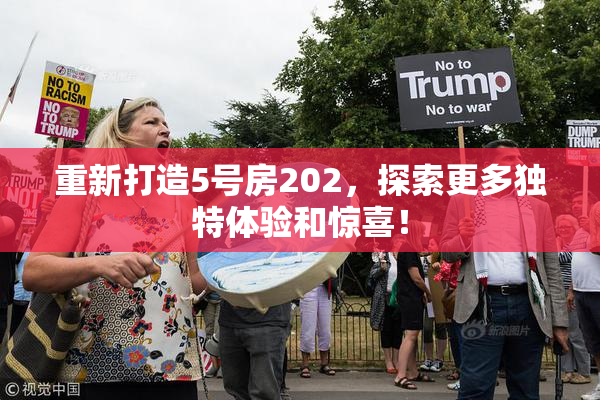重新打造5号房202，探索更多独特体验和惊喜！