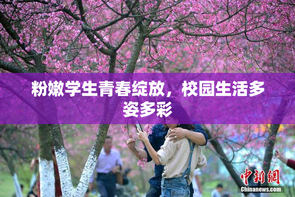 粉嫩学生青春绽放，校园生活多姿多彩