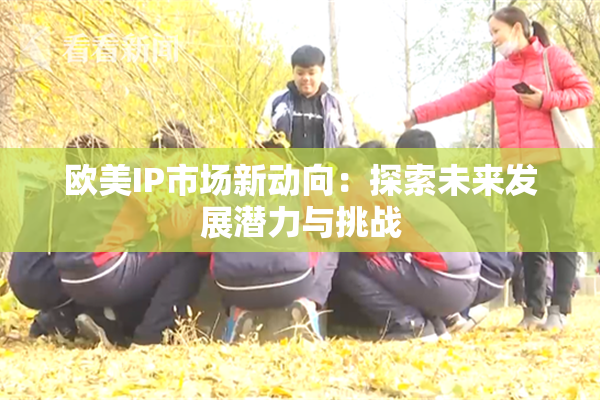 欧美IP市场新动向：探索未来发展潜力与挑战