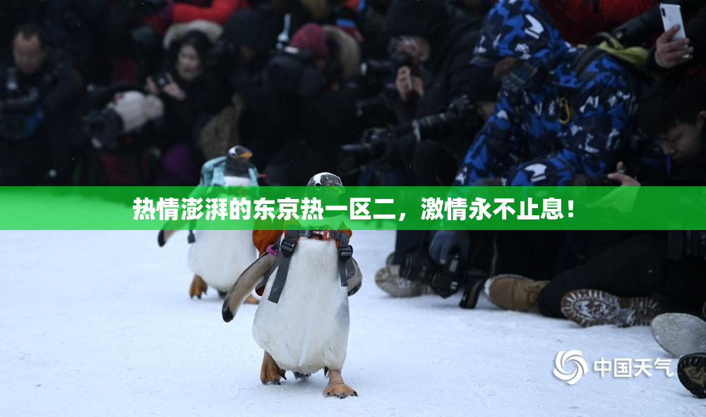 热情澎湃的东京热一区二，激情永不止息！