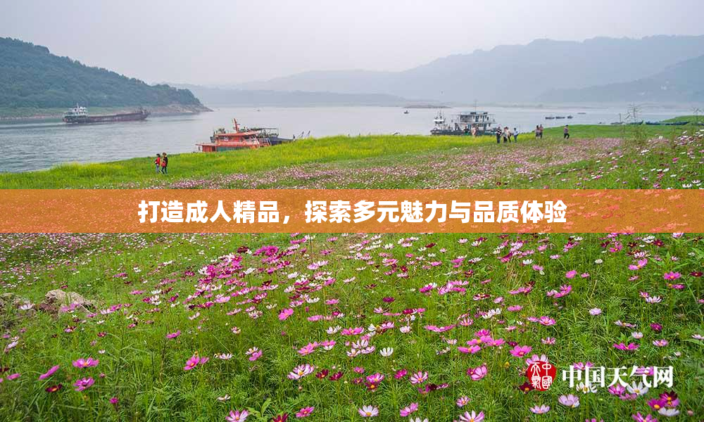 打造成人精品，探索多元魅力与品质体验