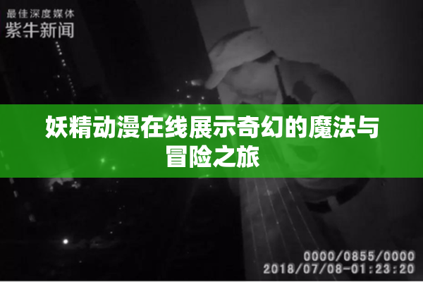 妖精动漫在线展示奇幻的魔法与冒险之旅