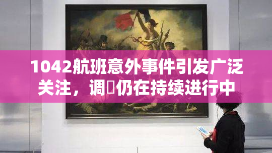 1042航班意外事件引发广泛关注，调査仍在持续进行中