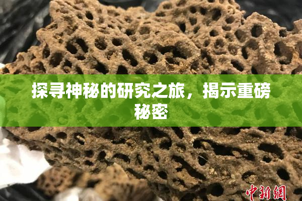 探寻神秘的研究之旅，揭示重磅秘密