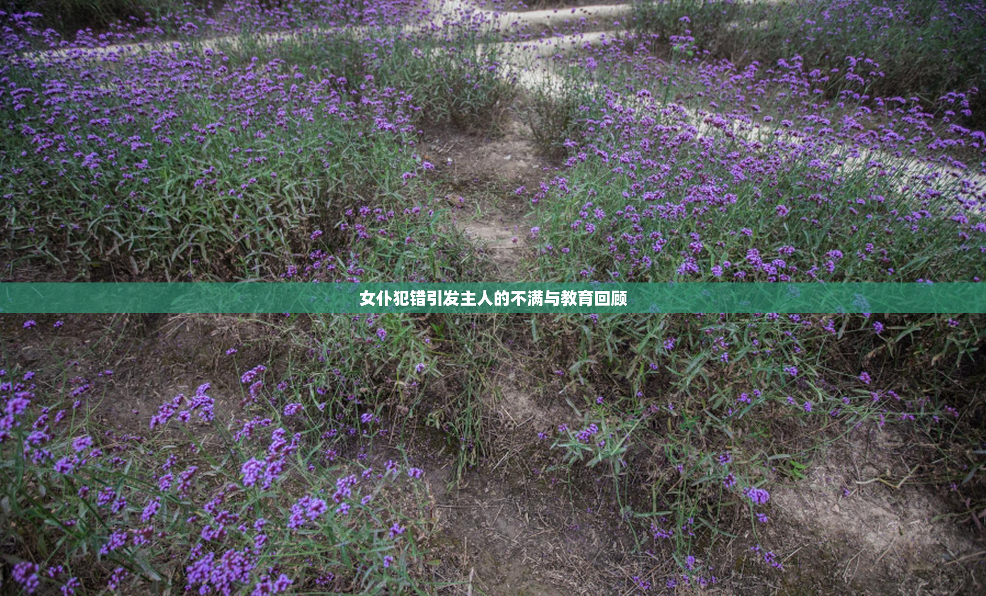 女仆犯错引发主人的不满与教育回顾