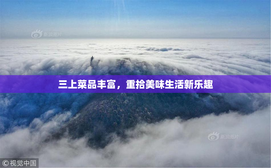 三上菜品丰富，重拾美味生活新乐趣