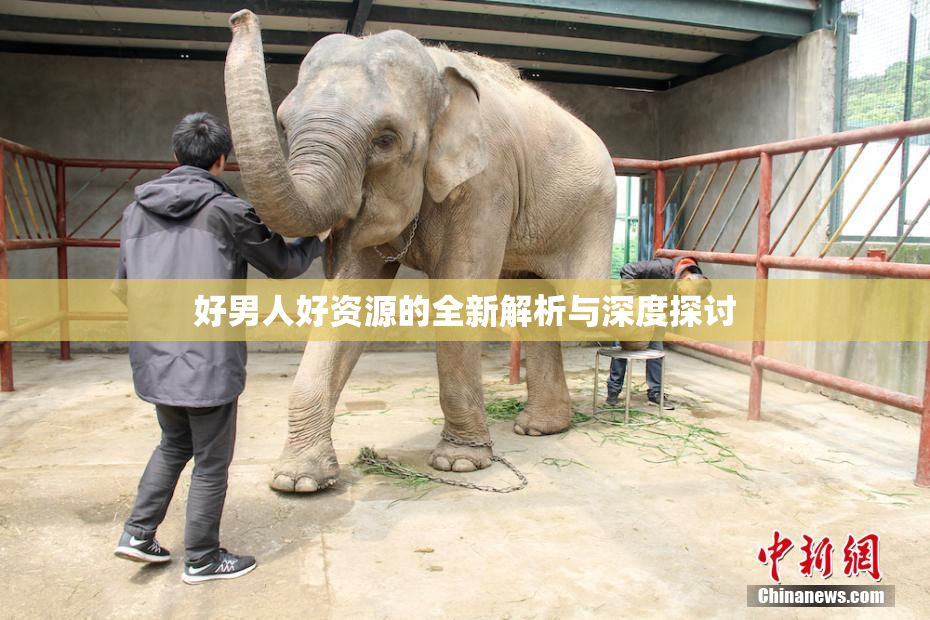 好男人好资源的全新解析与深度探讨