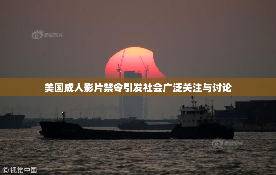 美国成人影片禁令引发社会广泛关注与讨论