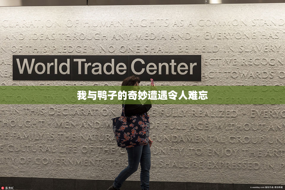 我与鸭子的奇妙遭遇令人难忘