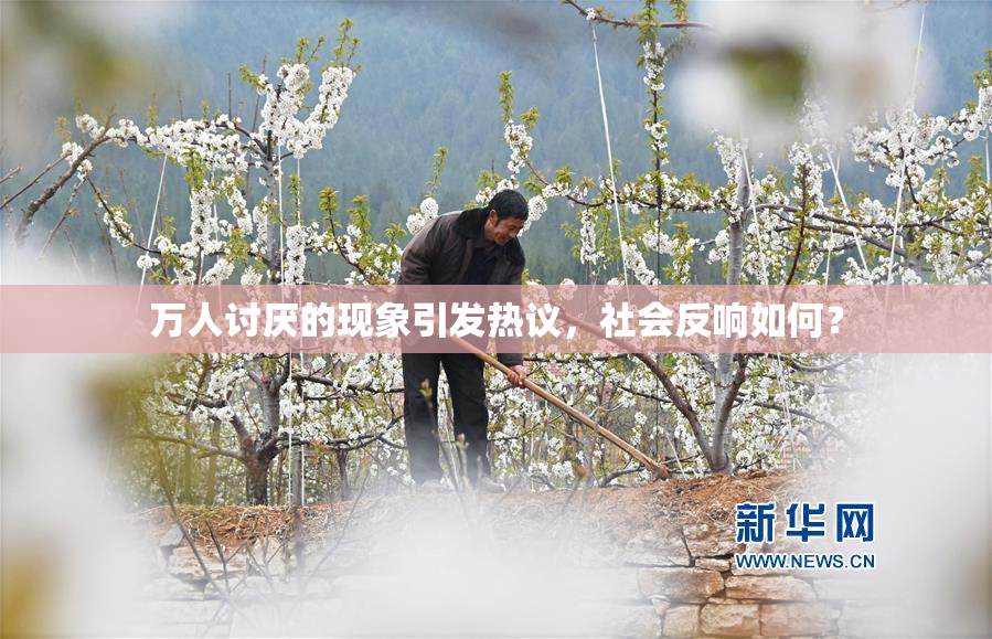 万人讨厌的现象引发热议，社会反响如何？