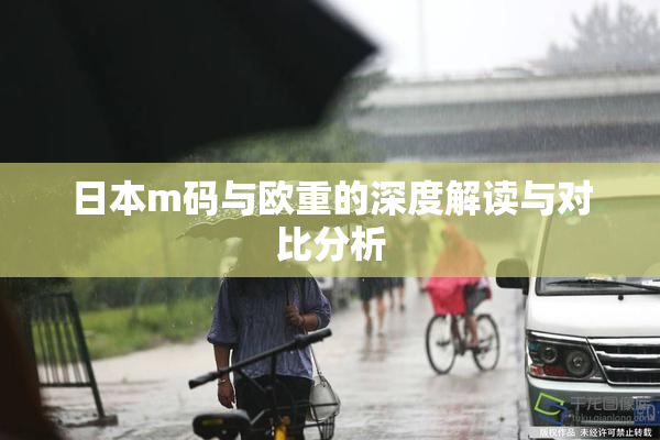 日本m码与欧重的深度解读与对比分析