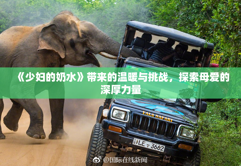 《少妇的奶水》带来的温暖与挑战，探索母爱的深厚力量