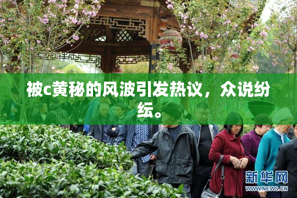 被c黄秘的风波引发热议，众说纷纭。