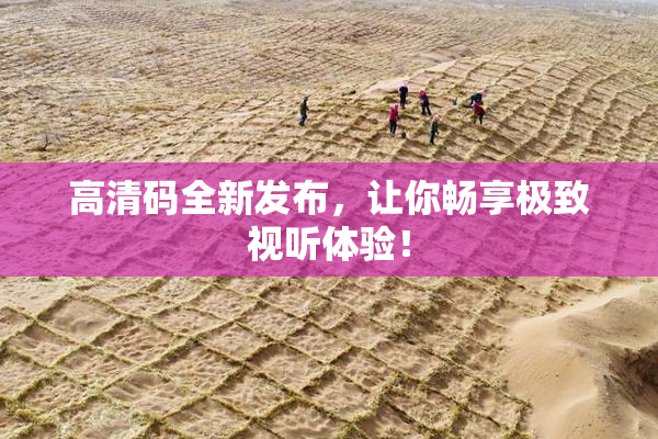 高清码全新发布，让你畅享极致视听体验！