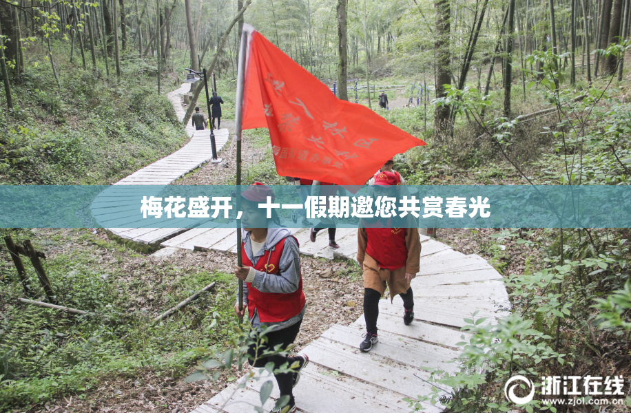 梅花盛开，十一假期邀您共赏春光