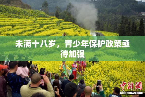 未满十八岁，青少年保护政策亟待加强