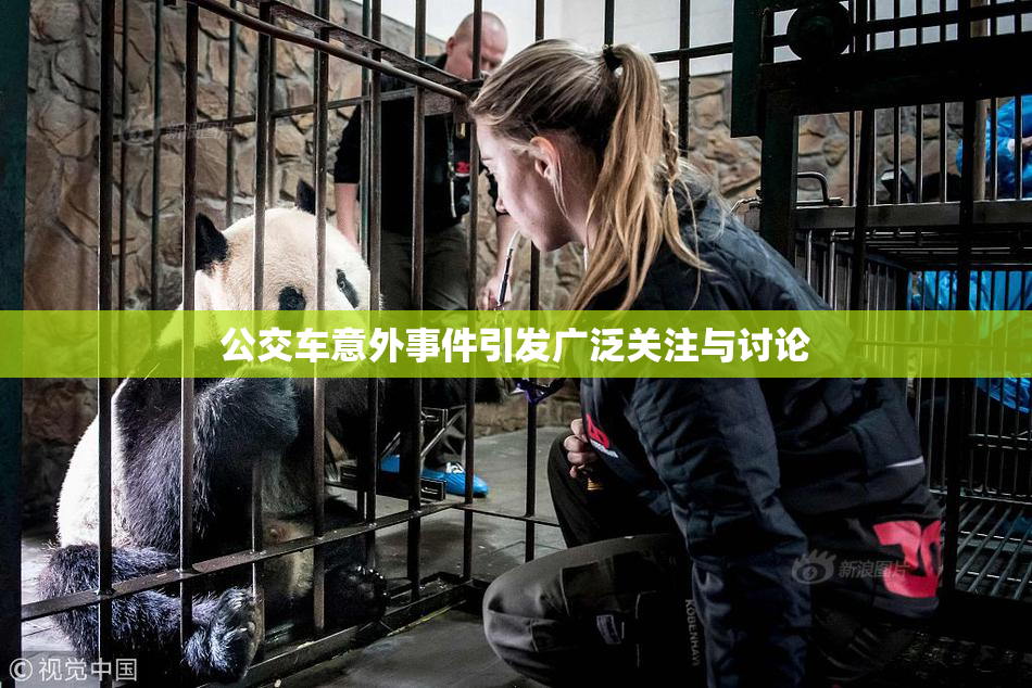 公交车意外事件引发广泛关注与讨论