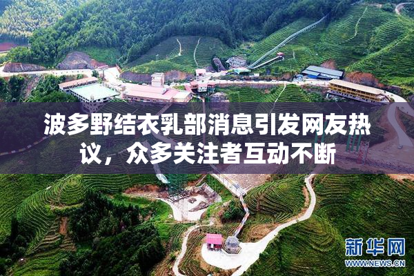 波多野结衣乳部消息引发网友热议，众多关注者互动不断