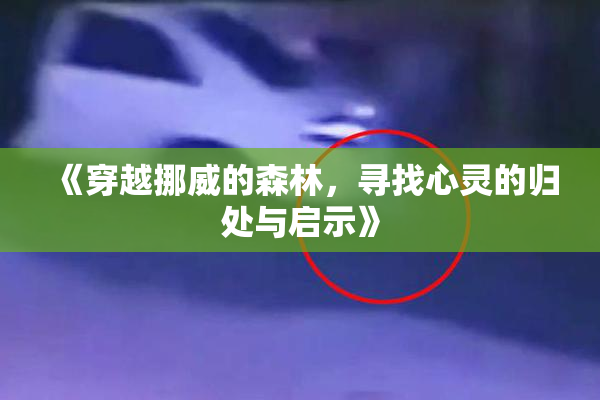 《穿越挪威的森林，寻找心灵的归处与启示》