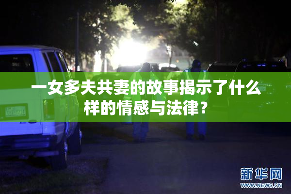 一女多夫共妻的故事揭示了什么样的情感与法律？