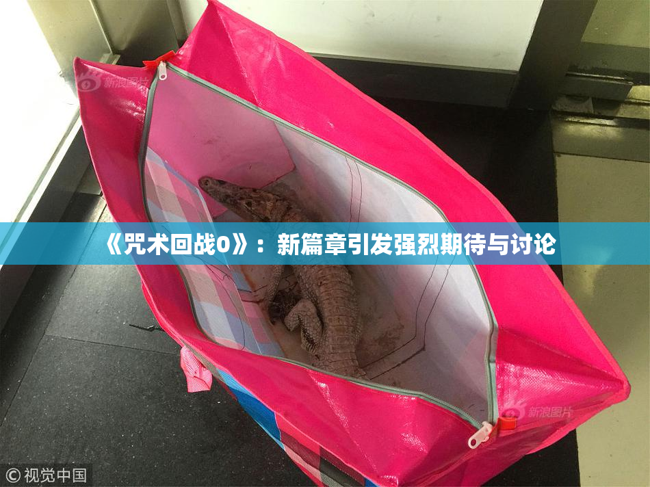 《咒术回战0》：新篇章引发强烈期待与讨论