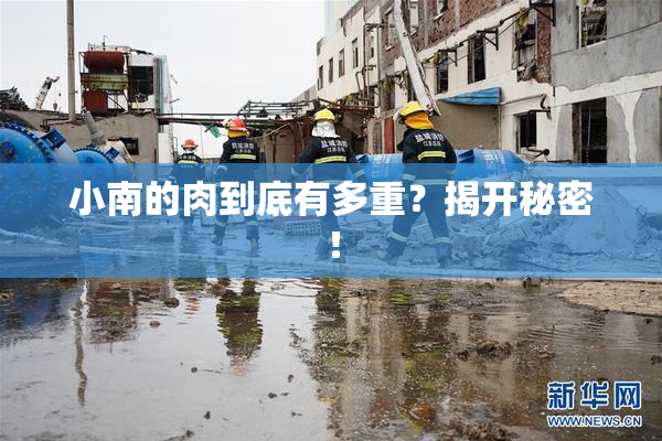 小南的肉到底有多重？揭开秘密！