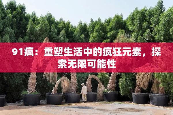 91疯：重塑生活中的疯狂元素，探索无限可能性