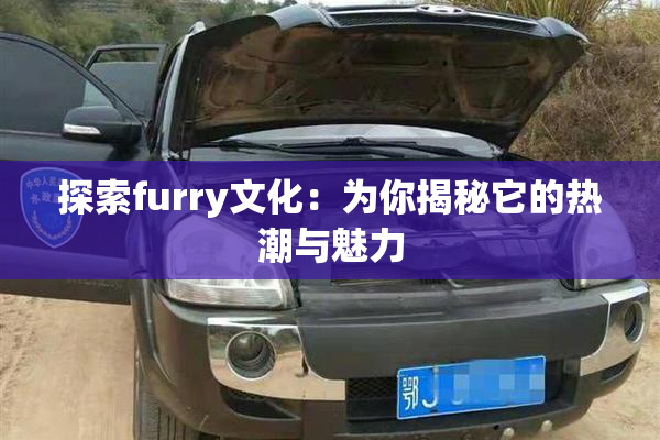探索furry文化：为你揭秘它的热潮与魅力
