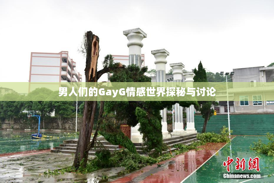 男人们的GayG情感世界探秘与讨论