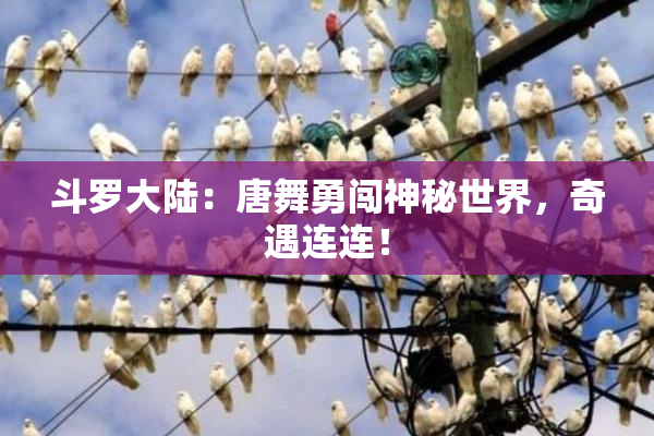 斗罗大陆：唐舞勇闯神秘世界，奇遇连连！