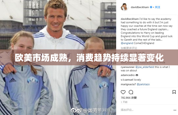欧美市场成熟，消费趋势持续显著变化