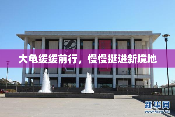 大龟缓缓前行，慢慢挺进新境地