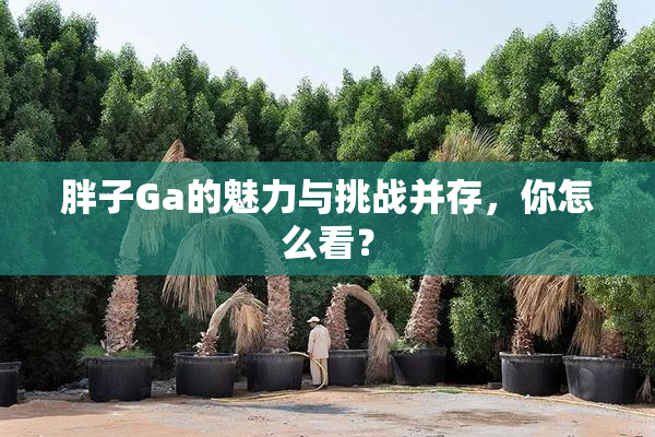 胖子Ga的魅力与挑战并存，你怎么看？