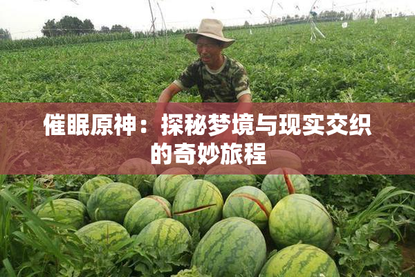 催眠原神：探秘梦境与现实交织的奇妙旅程