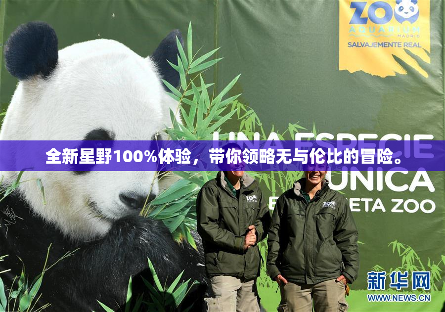 全新星野100%体验，带你领略无与伦比的冒险。
