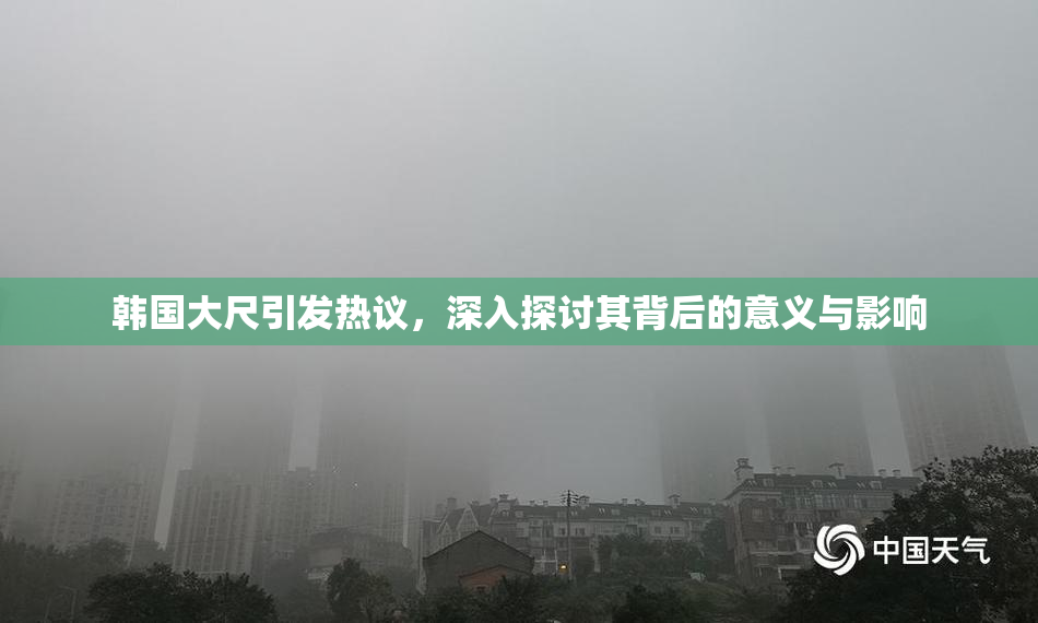 韩国大尺引发热议，深入探讨其背后的意义与影响
