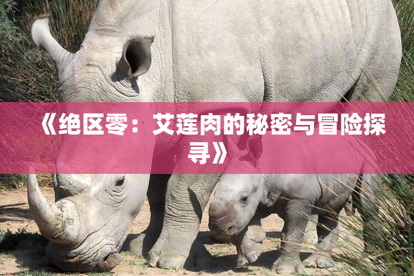 《绝区零：艾莲肉的秘密与冒险探寻》