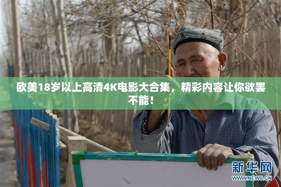 欧美18岁以上高清4K电影大合集，精彩内容让你欲罢不能！