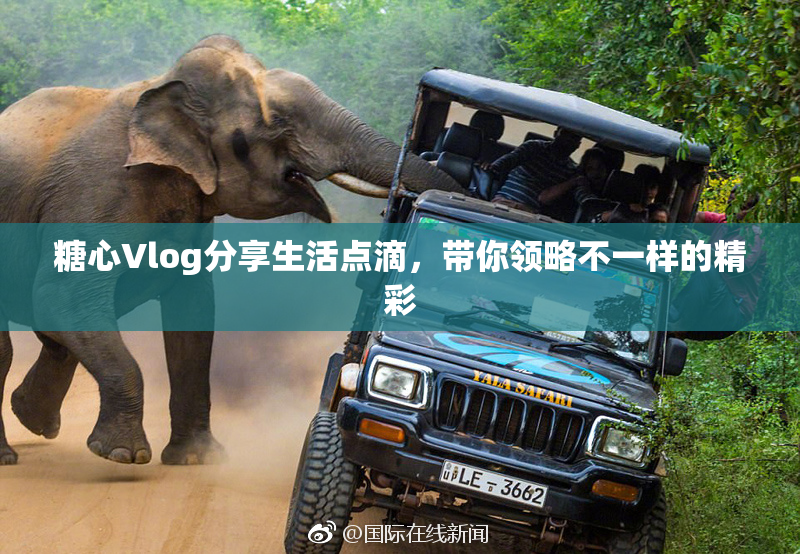 糖心Vlog分享生活点滴，带你领略不一样的精彩