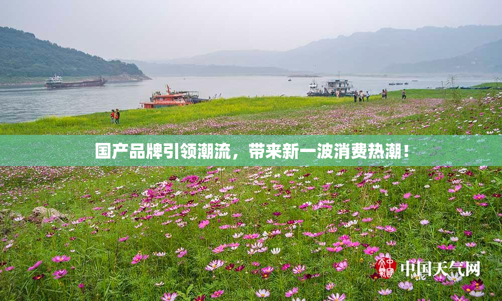 国产品牌引领潮流，带来新一波消费热潮！