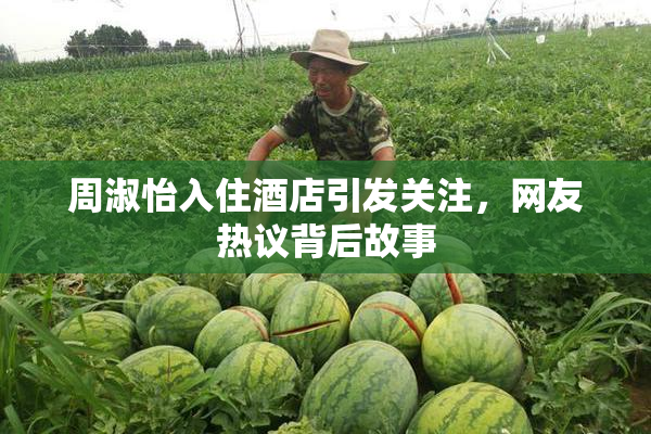 周淑怡入住酒店引发关注，网友热议背后故事