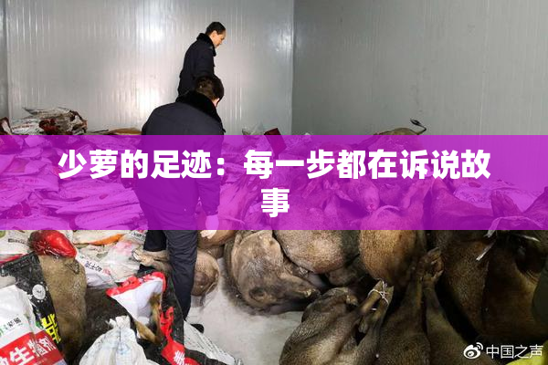 少萝的足迹：每一步都在诉说故事