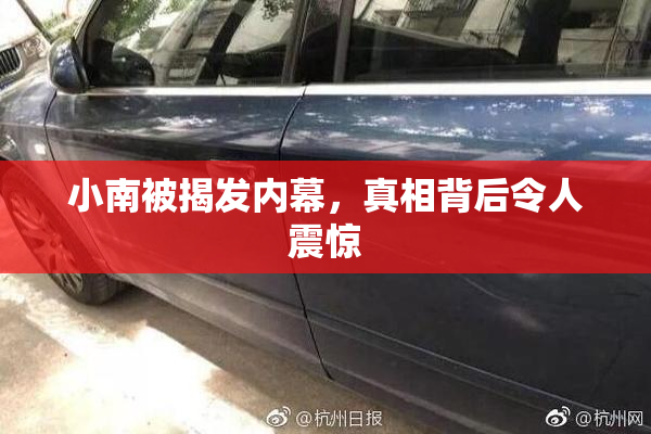 小南被揭发内幕，真相背后令人震惊